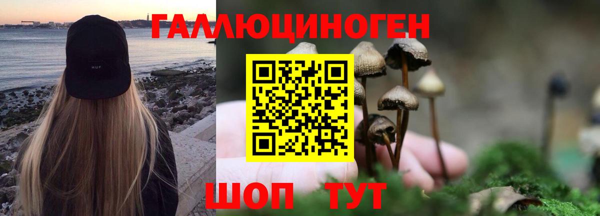 Псилоцибиновые грибы Magic Shrooms  Вход с VPN  Новочеркасск 
